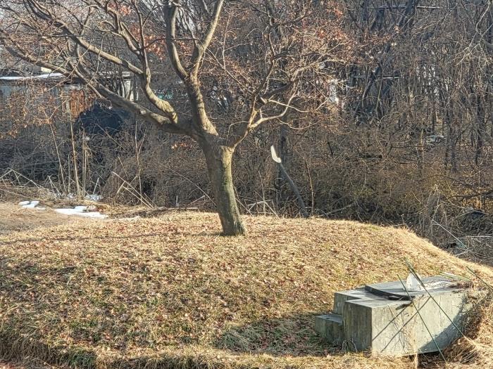 경기도 화성시 정남면 보통리 406 답 경매 사진 2