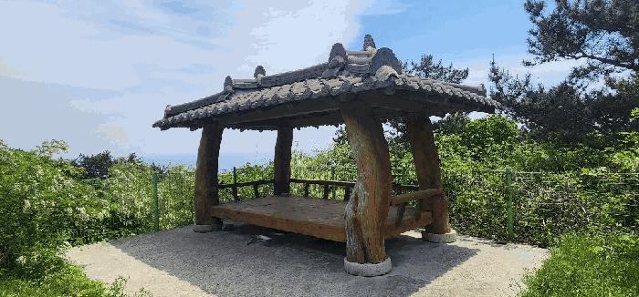 경상북도 영덕군 영덕읍 대부리 161-5 주택 경매 사진 3