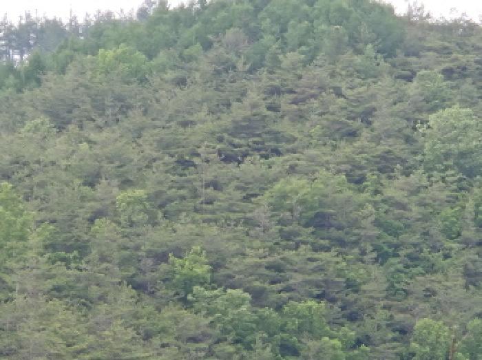 경상북도 울진군 평해읍 평해리 1253 전 경매 사진 3
