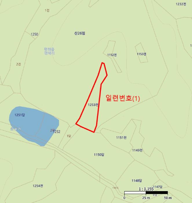 경상북도 울진군 평해읍 평해리 1253 전 경매 사진 4