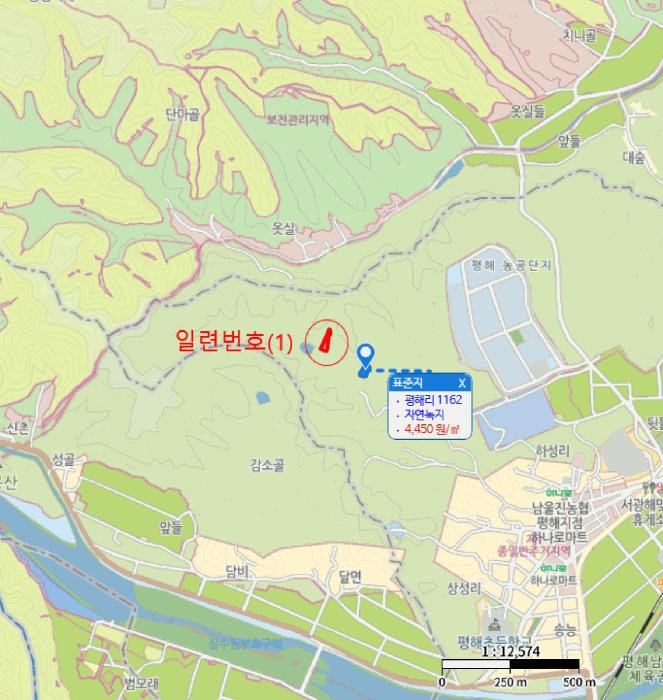 경상북도 울진군 평해읍 평해리 1253 전 경매 사진 5