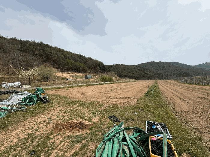 경상북도 영덕군 창수면 신기리 446-2 전 경매 사진 1