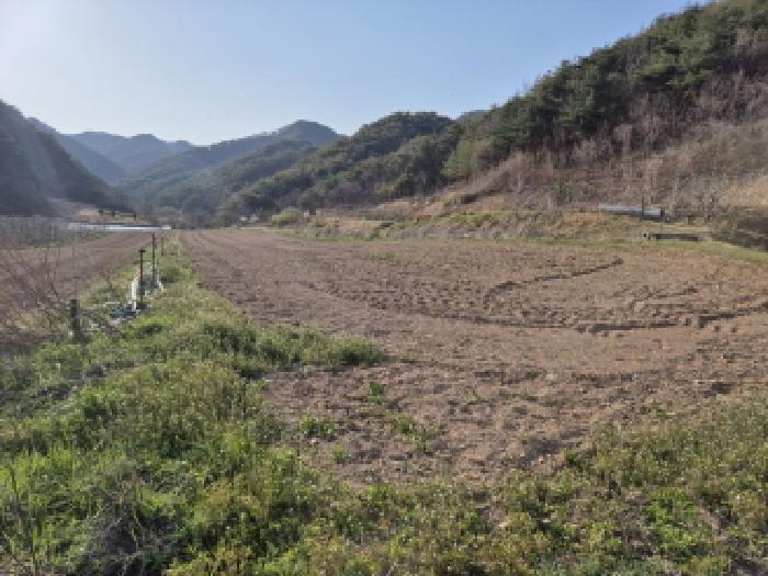 경상북도 영덕군 창수면 신기리 446-2 전 경매 사진 6
