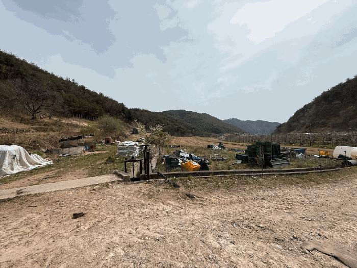 경상북도 영덕군 창수면 신기리 446-2 전 경매 사진 7