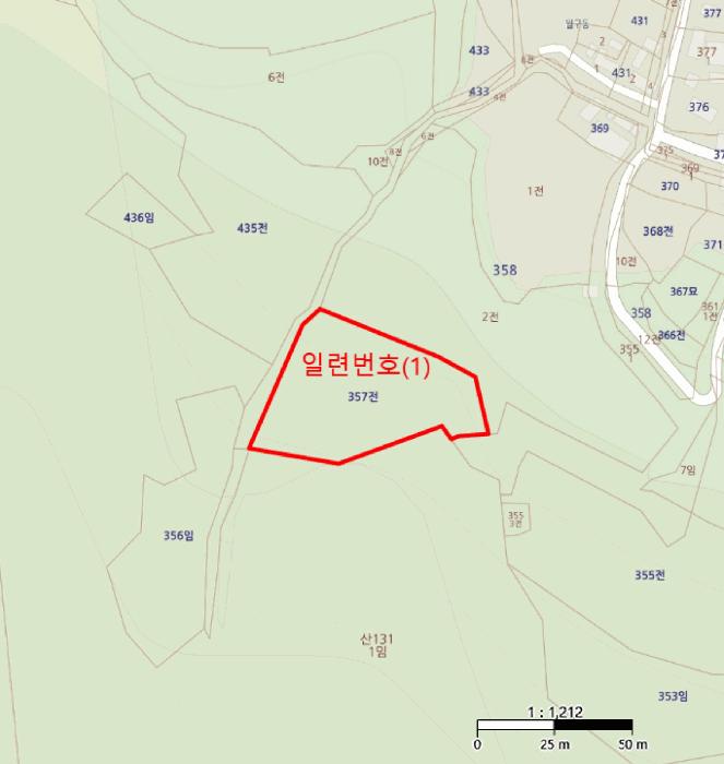 경상북도 영양군 청기면 무진리 357 전 경매 사진 5