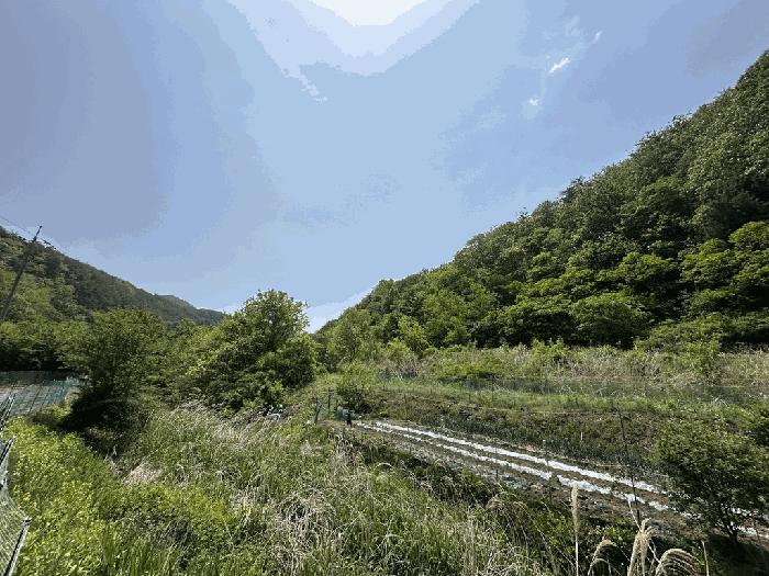 경상북도 영덕군 달산면 흥기리 278-2 전 경매 사진 1