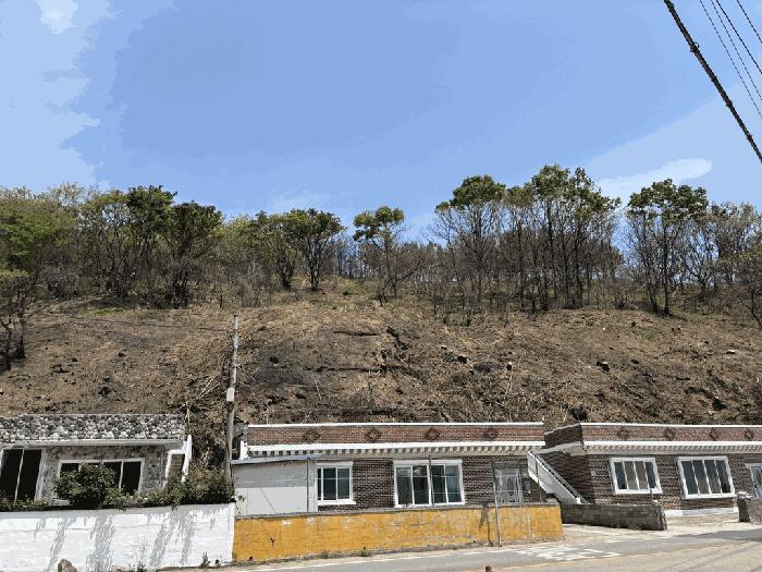 경상북도 영덕군 영덕읍 오보리 86 대지 경매 사진 4