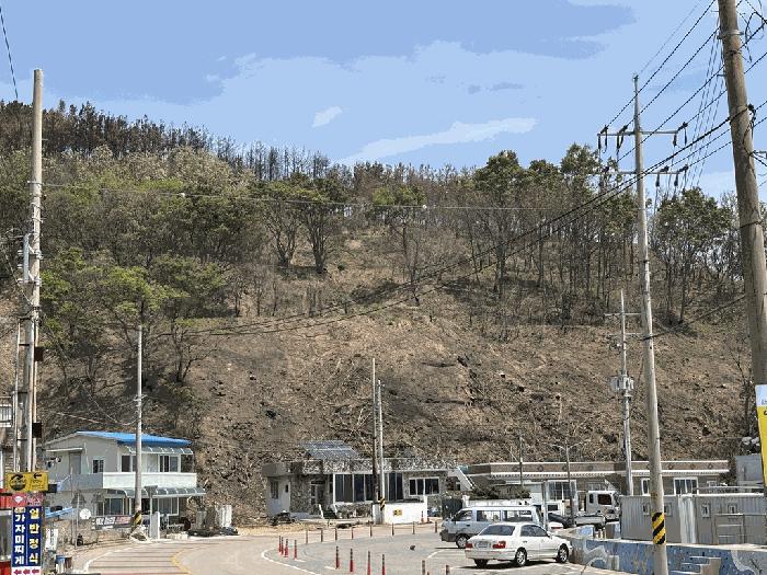 경상북도 영덕군 영덕읍 오보리 86 대지 경매 사진 7