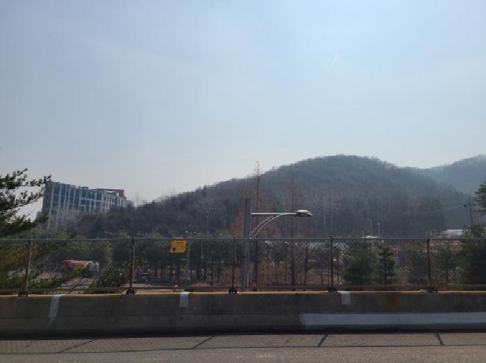 경기도 성남시 분당구 운중동 산100-3 임야 경매 사진 5