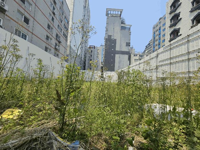 인천광역시 미추홀구 주안동 85-6 대지 경매 사진 3