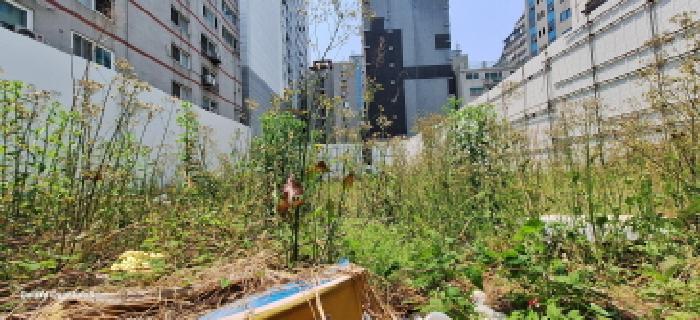 인천광역시 미추홀구 주안동 85-6 대지 경매 사진 8