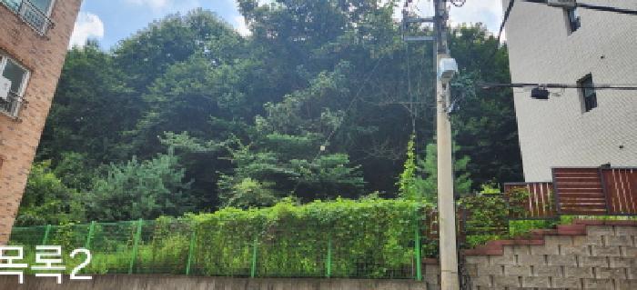 경기도 광주시 퇴촌면 관음리 산165-19 임야 경매 사진 4