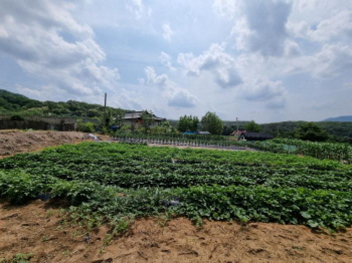 경기도 광주시 초월읍 무갑리 271-1 답 경매 사진 20