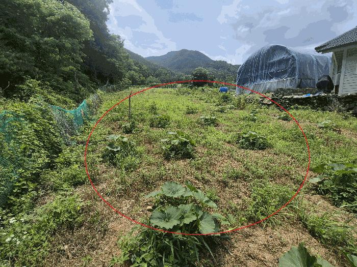 경기도 광주시 초월읍 무갑리 271-1 답 경매 사진 7