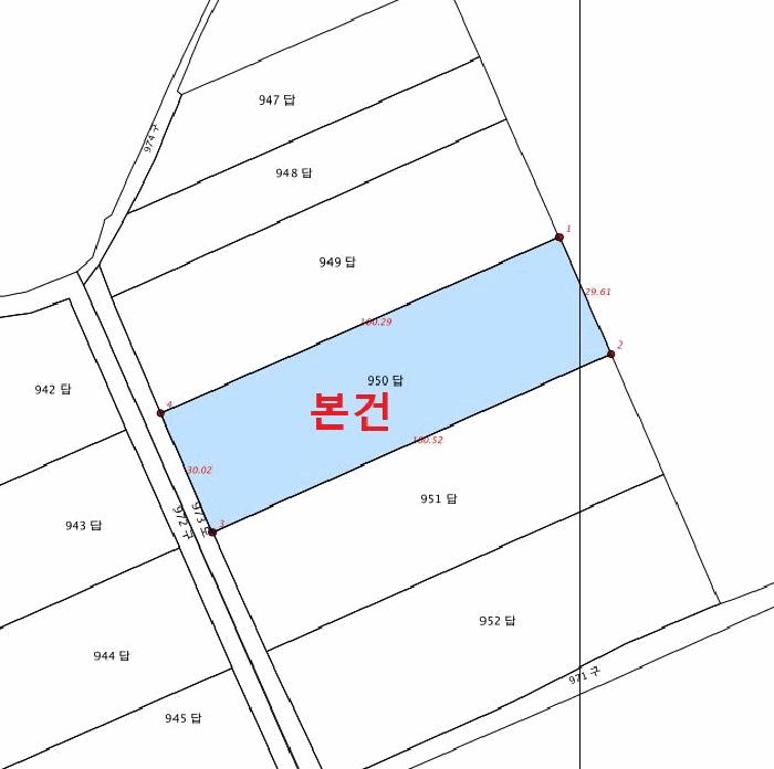강원특별자치도 강릉시 사천면 판교리 950 답 경매 사진 4