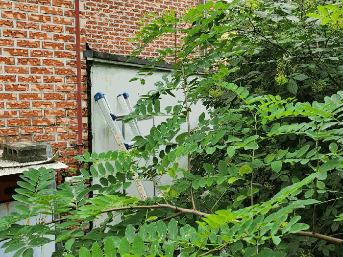 강원특별자치도 횡성군 둔내면 두원리 616-6 펜션(캠핑장) 경매 사진 4