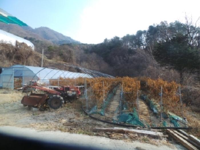 강원특별자치도 화천군 간동면 도송리 263-2 전 경매 사진 19