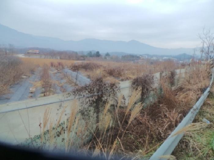 강원특별자치도 춘천시 신북읍 산천리 877-10 전 경매 사진 12