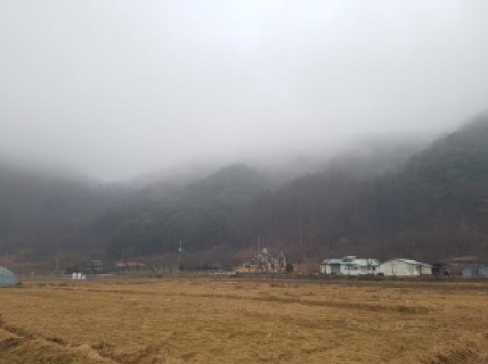 강원특별자치도 홍천군 남면 명동리 산15 임야 경매 사진 10