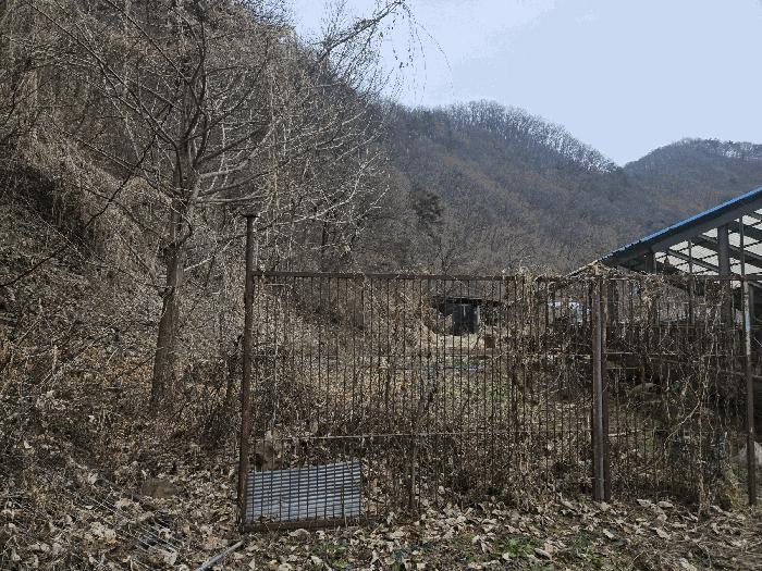 강원특별자치도 홍천군 남면 명동리 산15 임야 경매 사진 4