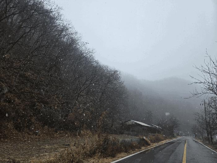 강원특별자치도 홍천군 남면 명동리 산15 임야 경매 사진 5