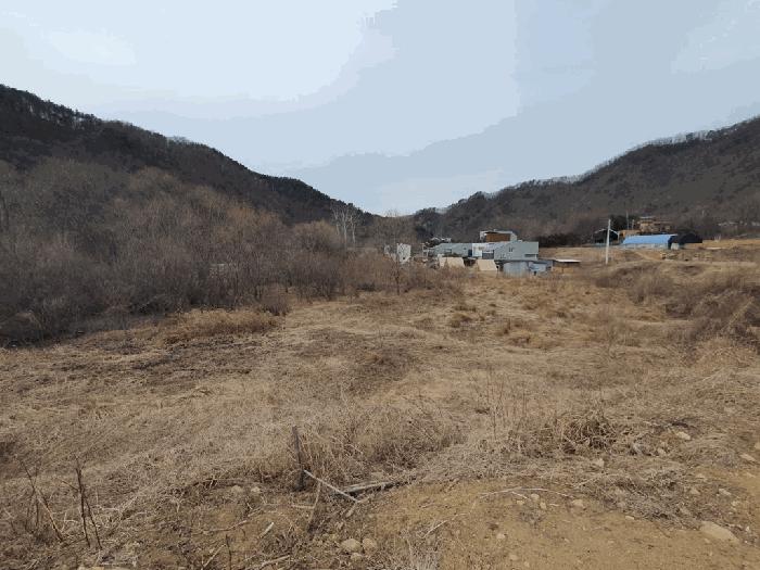 강원특별자치도 홍천군 북방면 노일리 890 답 경매 사진 4