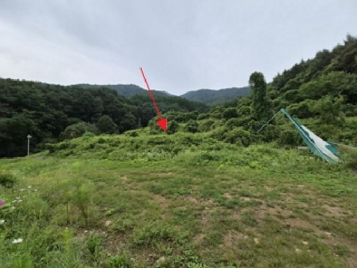 강원 원주시 전