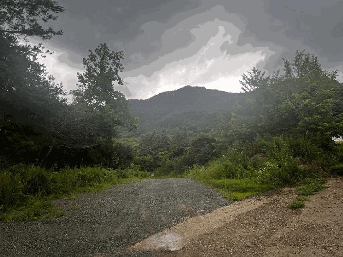 충청북도 충주시 기타토지