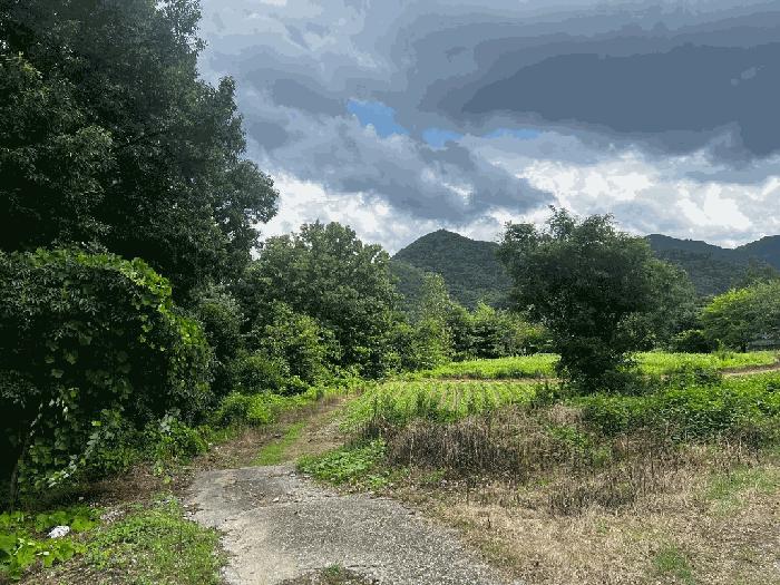 충청북도 충주시 동량면 하천리 443-14 기타토지 경매 사진 2