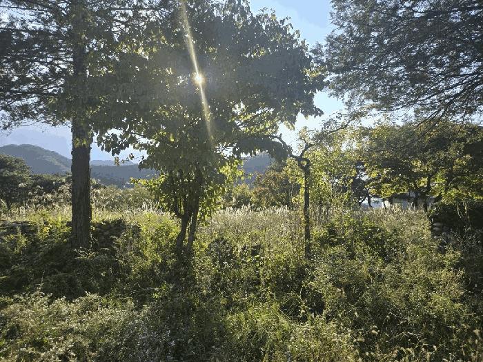충청북도 충주시 동량면 하천리 443-14 기타토지 경매 사진 29