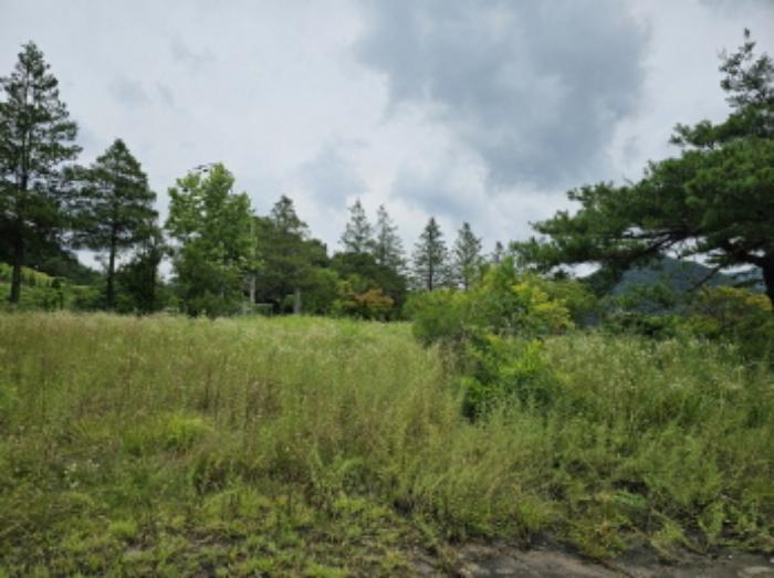 충청북도 충주시 동량면 하천리 443-14 기타토지 경매 사진 36