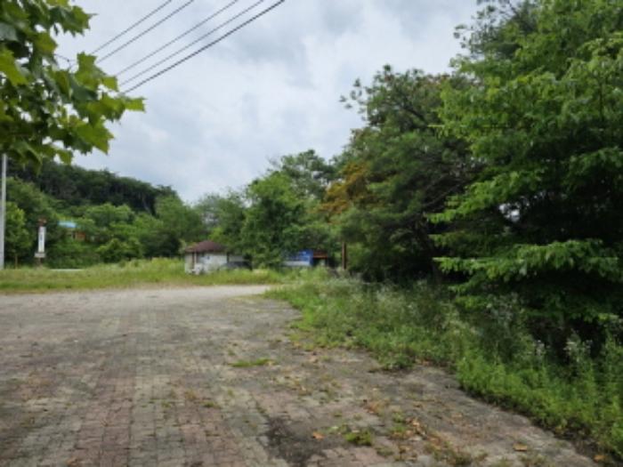 충청북도 충주시 동량면 하천리 443-14 기타토지 경매 사진 39