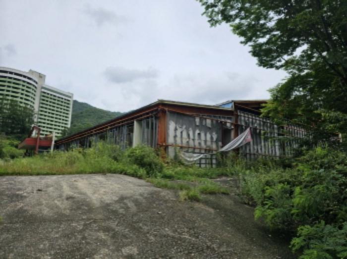 충청북도 충주시 동량면 하천리 443-14 기타토지 경매 사진 43