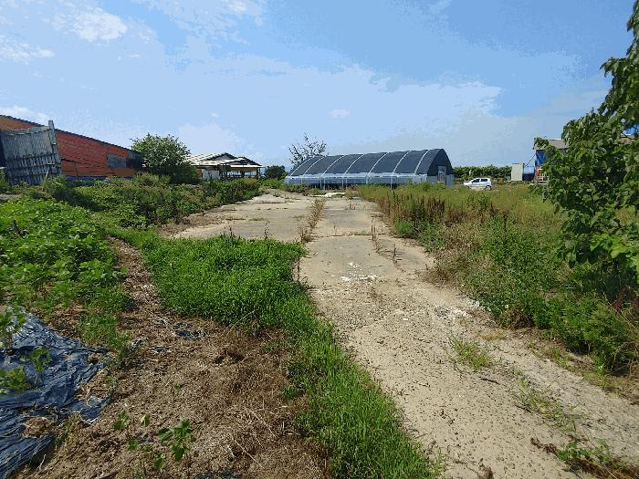충청남도 부여군 규암면 내리 772-8 답 경매 사진 1