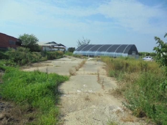 충청남도 부여군 규암면 내리 772-8 답 경매 사진 11
