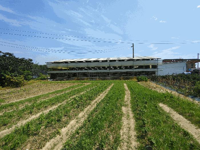 충청남도 부여군 규암면 내리 772-8 답 경매 사진 2