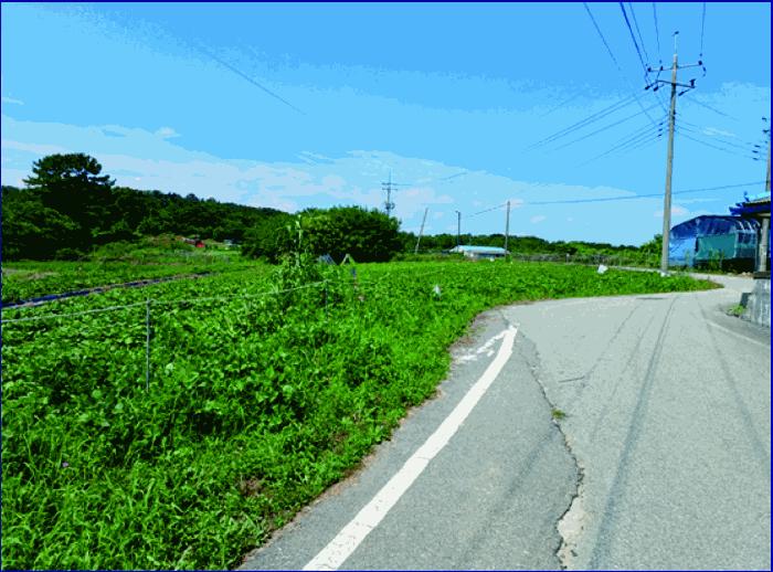 충청남도 부여군 규암면 오수리 364-3 대지 경매 사진 4