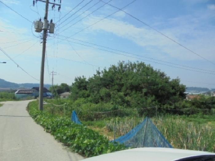 충청남도 부여군 규암면 오수리 364-3 대지 경매 사진 6