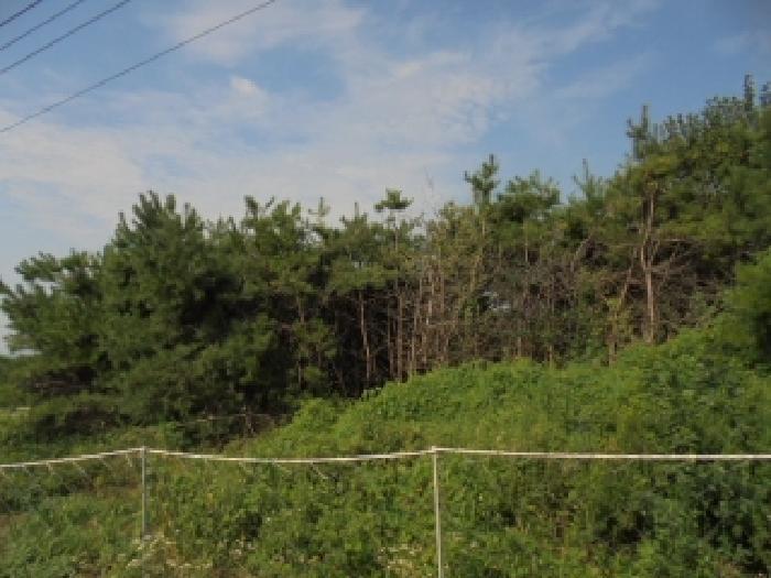 충청남도 부여군 규암면 오수리 364-3 대지 경매 사진 7
