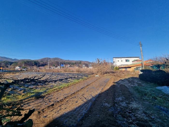 충청북도 충주시 앙성면 조천리 39-13 전 경매 사진 11