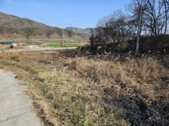 충청북도 충주시 앙성면 조천리 39-13 전 경매 사진 24