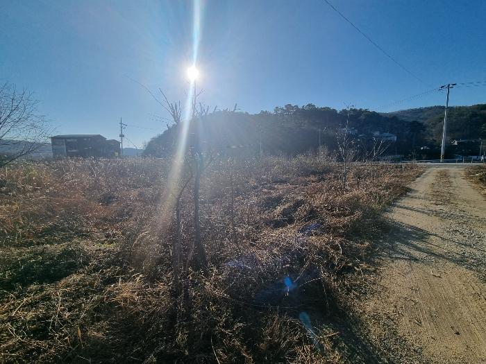 충청북도 충주시 앙성면 조천리 39-21 전 경매 사진 6
