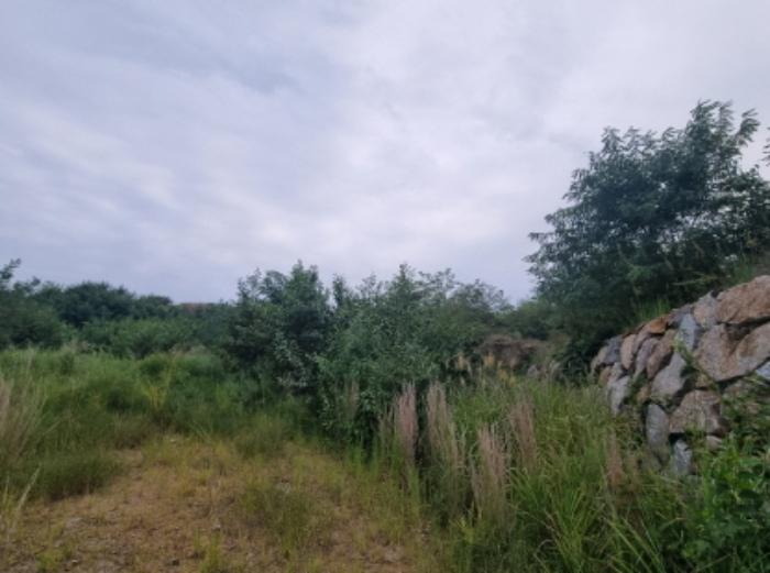 전라남도 광양시 마동 957-1 1층101호 근린상가 경매 사진 17