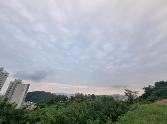 전라남도 광양시 마동 957-1 1층101호 근린상가 경매 사진 40
