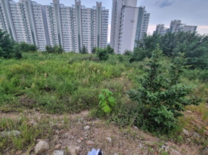 전라남도 광양시 마동 957-1 1층101호 근린상가 경매 사진 49