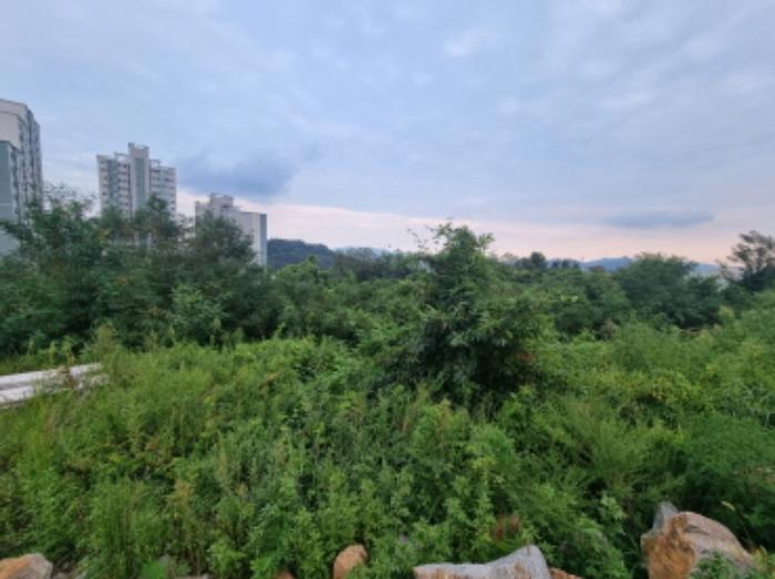 전라남도 광양시 마동 1018-23 주택 경매 사진 22