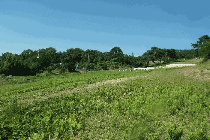 충청남도 논산시 은진면 시묘리 132-4 전 경매 사진 15