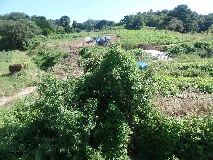 충청남도 논산시 은진면 시묘리 69-7 임야 경매 사진 53