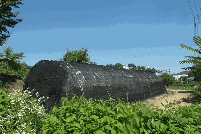 충청남도 논산시 은진면 시묘리 129-3 전 경매 사진 1