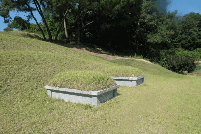 충청남도 논산시 은진면 시묘리 129-3 전 경매 사진 14
